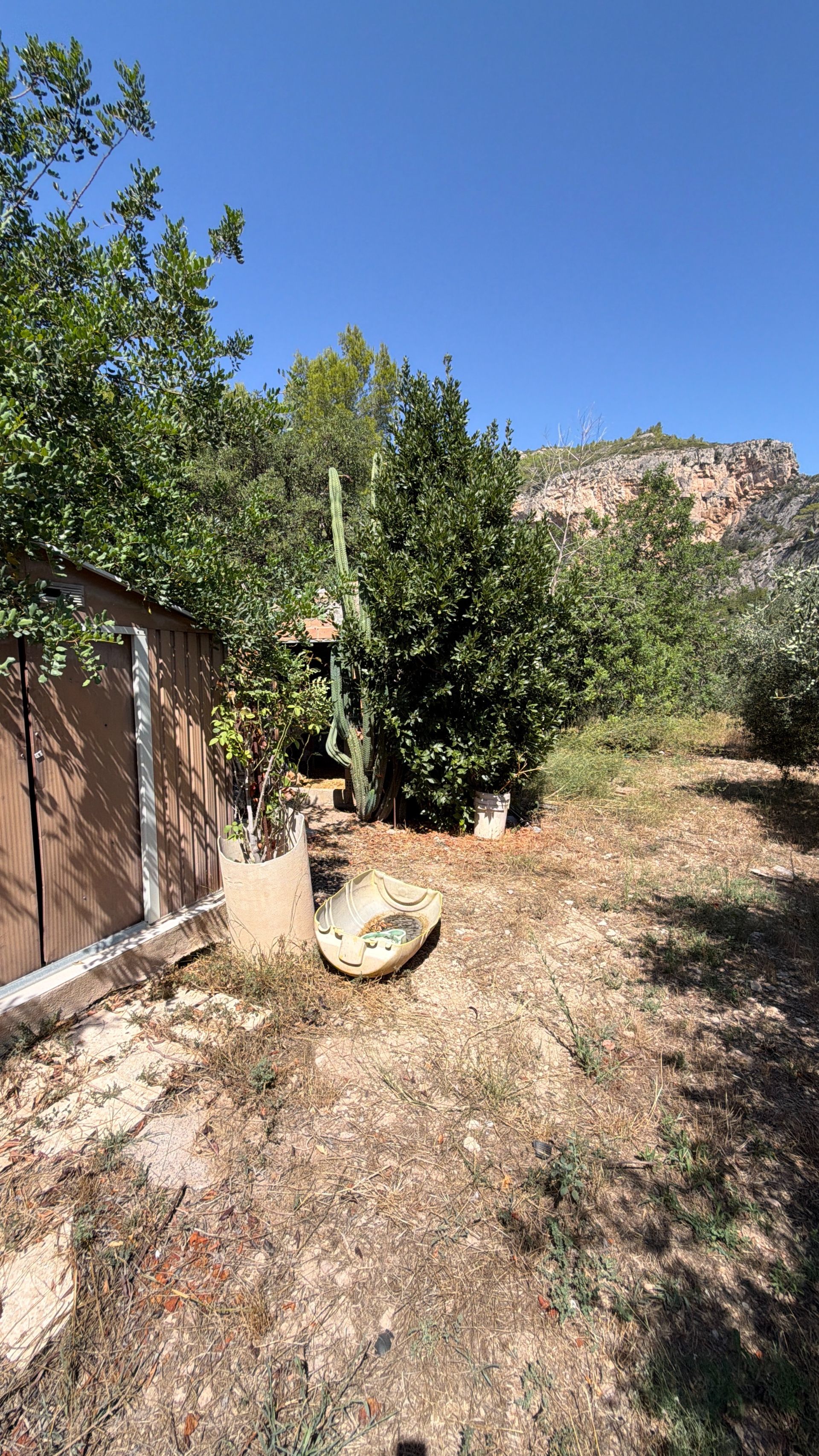 ++ Finca rustical en Vandellos ++ - Image 17